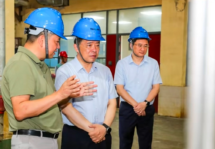 銅陵市委書記楊宏星一行來公司調研